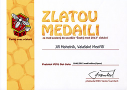 Med květový z lipové aleje - Český med 2012